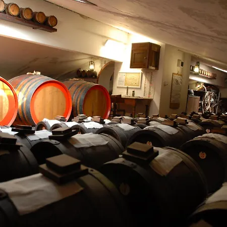 Pidkova Pensionat 3*