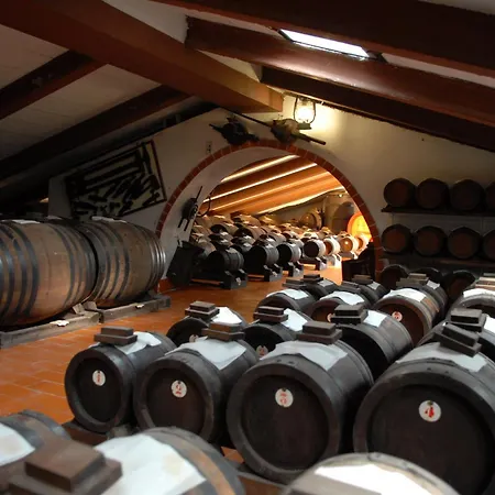 Pidkova Pensionat Modena