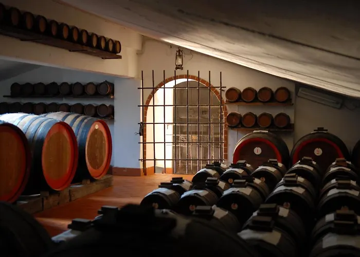 Pidkova Гостьовий будинок Модена